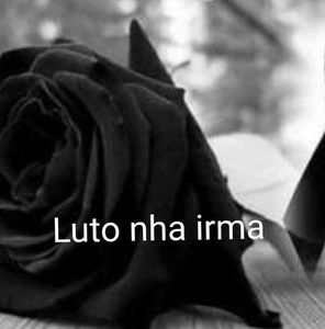 Meet your Posher, Ernesto